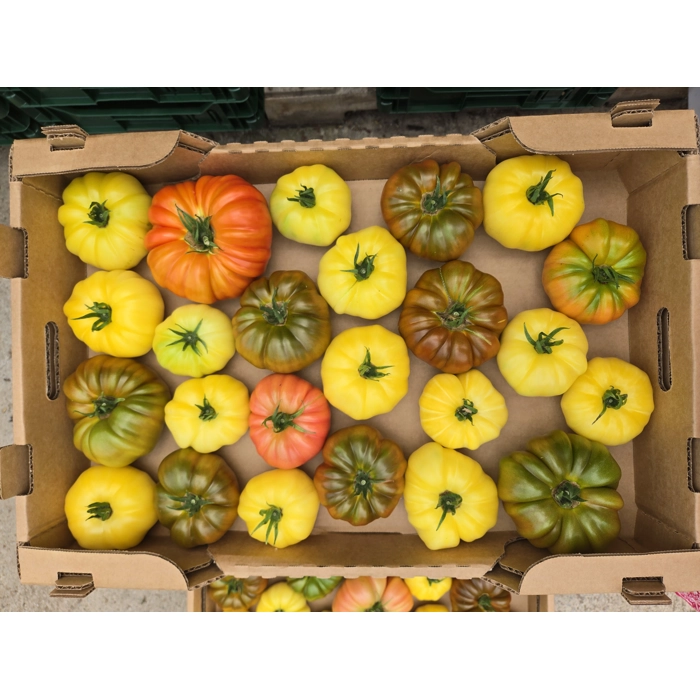 Tomate