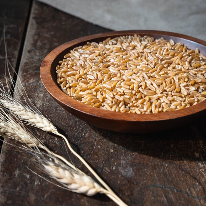 Blé de KAMUT en grains - biologique