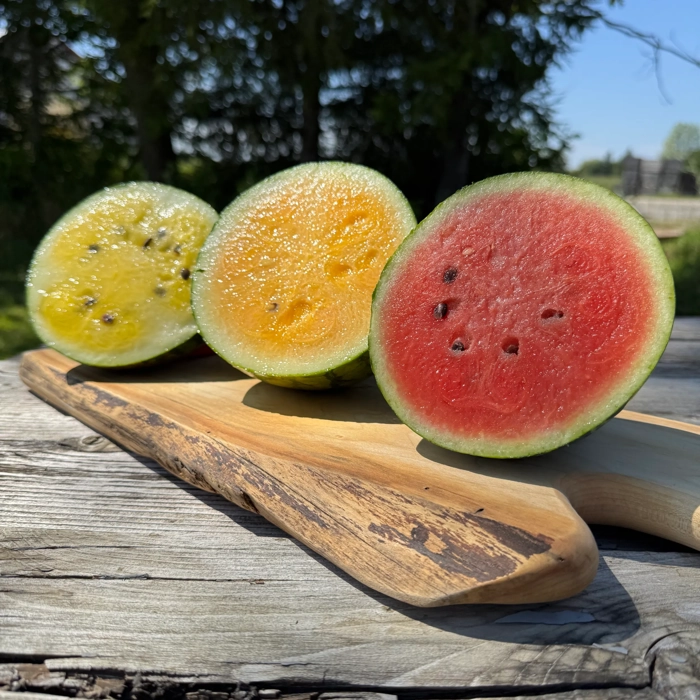 Melons d'eau biologiques