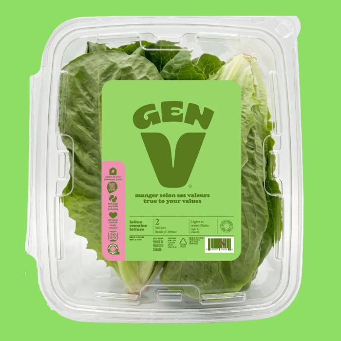 Laitue Romaine