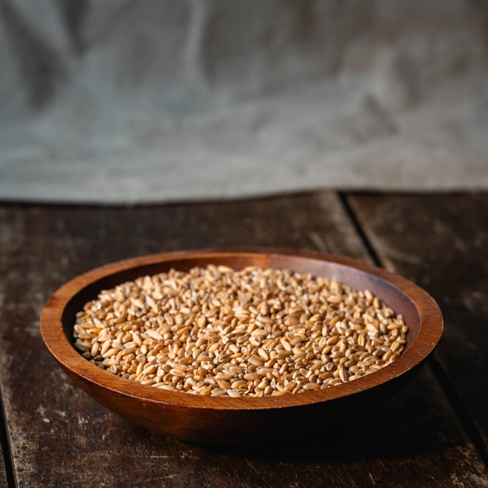 Épeautre en grains - biologique