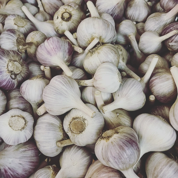 Organic garlic