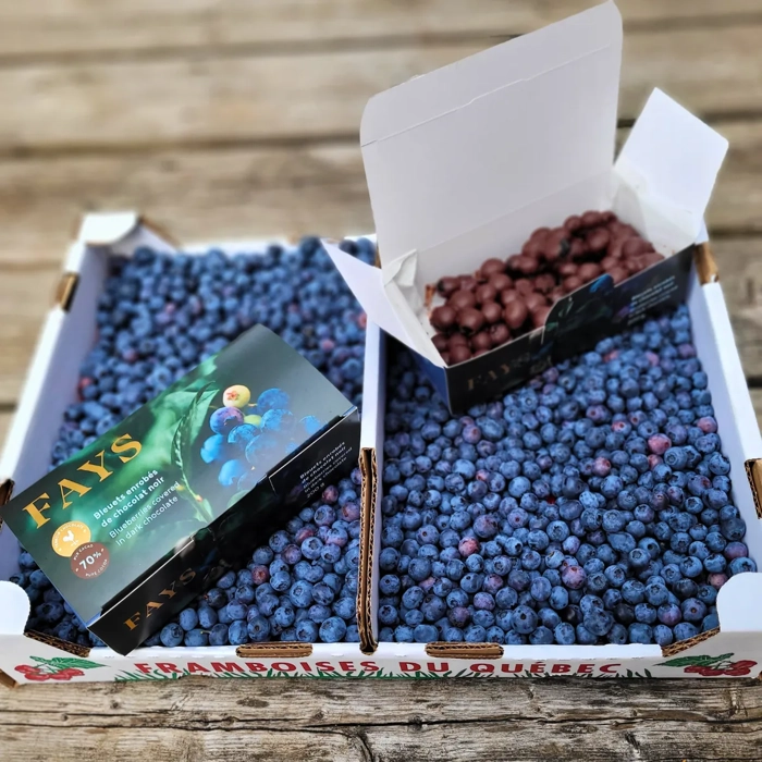 Bleuets enrobées de chocolat noir 70 %