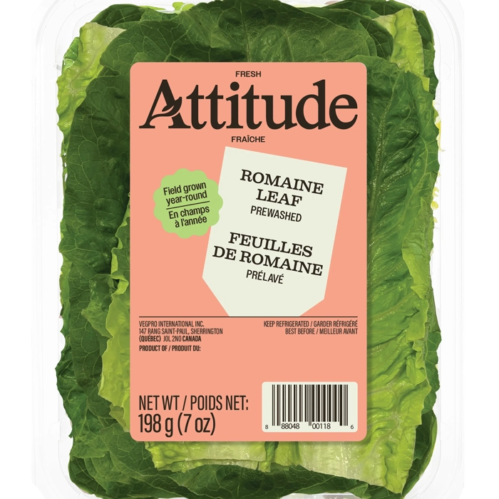 Feuilles de Romaine