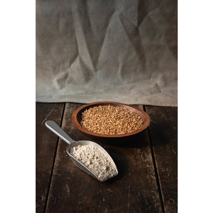 Farine d’épeautre blanche - biologique