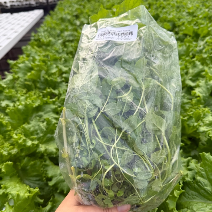 Living mint