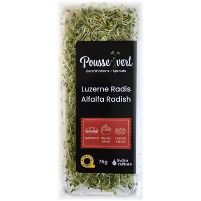 Alfalfa-Radish sprouts