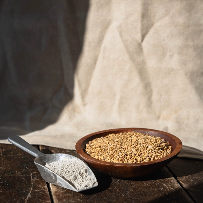 Farine de blé intégrale à pain biologique