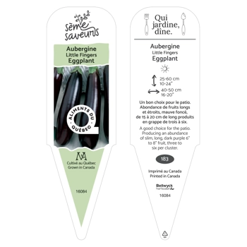 Plant d'Aubergine Little Finger