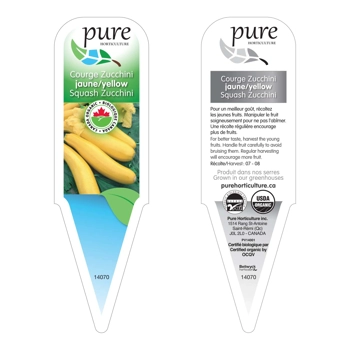 COURGETTE JAUNE BIOLOGIQUE EN POT