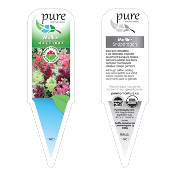 MUFFLIER - FLEUR COMESTIBLE BIOLOGIQUE EN POT