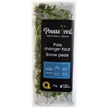 Pousse de Pois Mange-tout