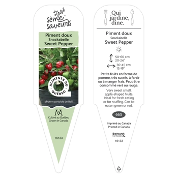 Plant de Piment Snackabelle