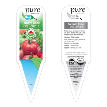 TOMATE ROSE (BIOLOGIQUE EN POT)