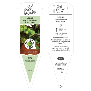 Plant de Laitue Simply Salad mix