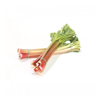 Rhubarbe
