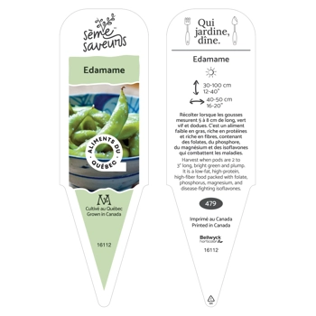 Plant de Fève Edamame