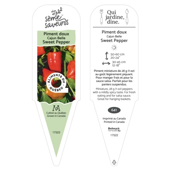 Plant de Piment Cajun Belle