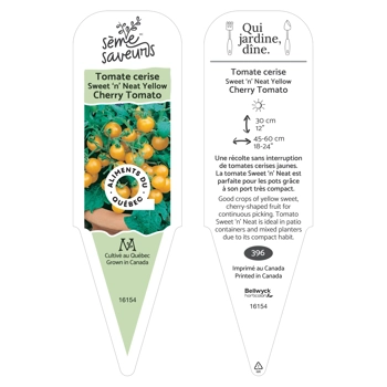 Plant de tomate Sweet'n Neat Scarlet