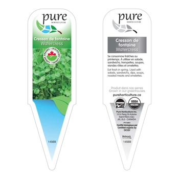 CRESSON DE FONTAINE BIOLOGIQUE EN POT