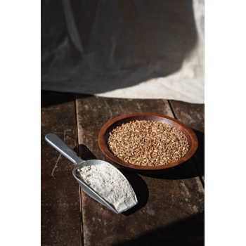 Farine de blé tout usage ( non-blanchie ) -  biologique