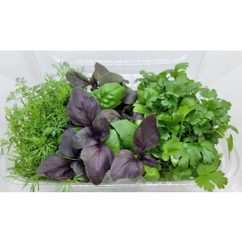 Micropousses Fines Herbes