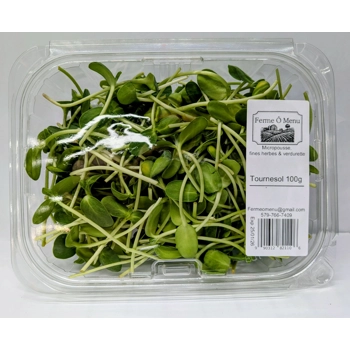 Micropousses de tournesol