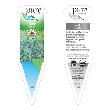 CARI BIOLOGIQUE EN POT.