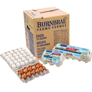 Oeufs Naturœuf Poules en liberté Gros