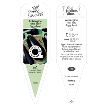 Plant d'Aubergine Patio Baby