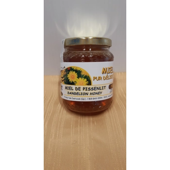 Miel de Pissenlits
