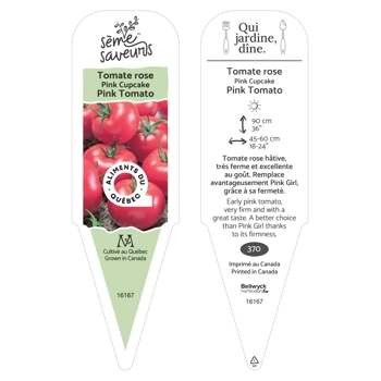 Plant de Tomate Pink Cupcake