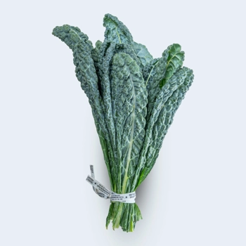 Chou frisé noir biologique