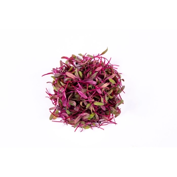 Micro Red Beet Leaves