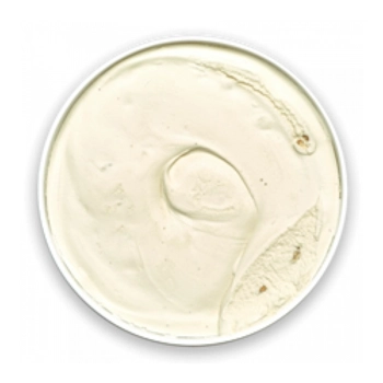 Maple nut ice cream