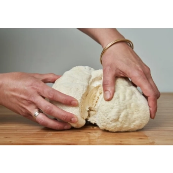 Hydne hérisson frais