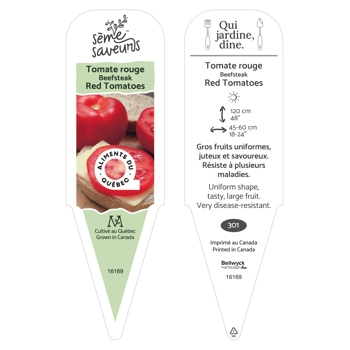 Plant de Tomate Beefsteak