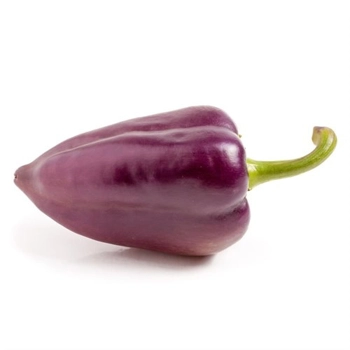 Poivron violet