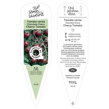 Plant de Tomate Chocolate Cherry