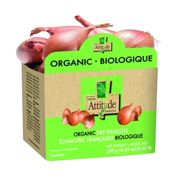 Échalote française biologique