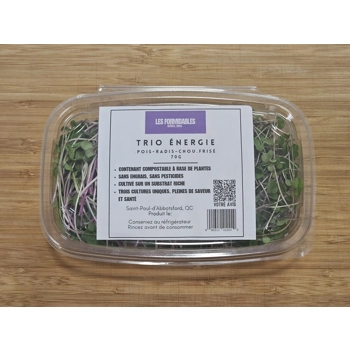 Micro-pousses - Trio Énergie