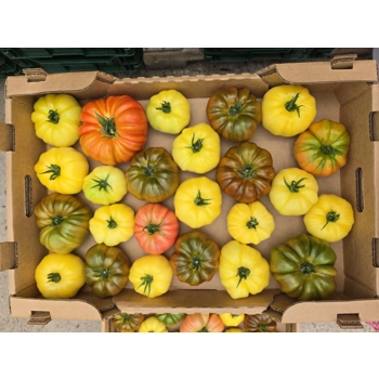 Tomate