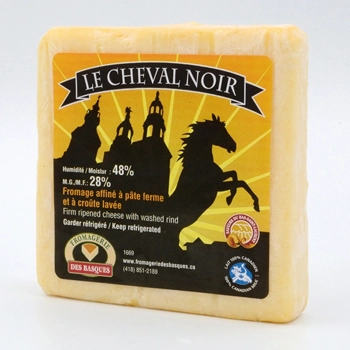 Le cheval noir