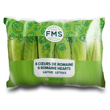 Laitue Coeur de romaine(6)