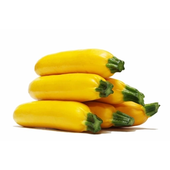 Zucchini jaune