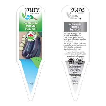 AUBERGINE HANSEL BIOLOGIQUE EN POT.