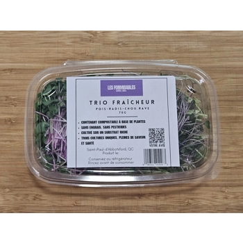 Micro-pousses - Trio Fraîcheur