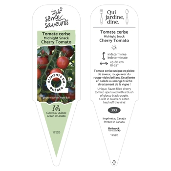 Plant de tomate Midnight Snack