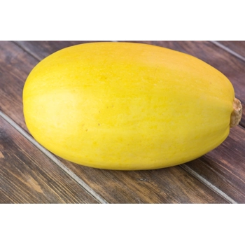 Courge spaghetti biologique