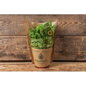 Roquette Mediterranean